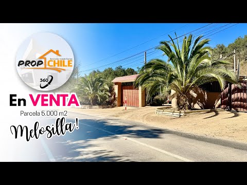 Video de En VENTA Parcela 5.000 m2, Melosilla, Valparaíso