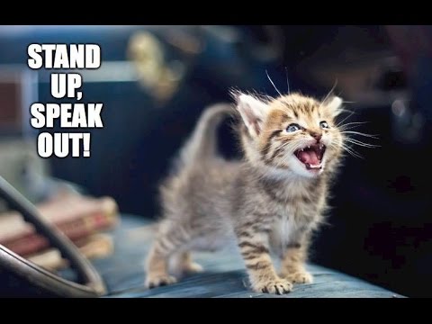 Something That I Said ~ The SYN ~  Featuring Moon Safari