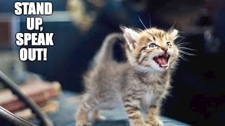 Something That I Said ~ The SYN ~  Featuring Moon Safari