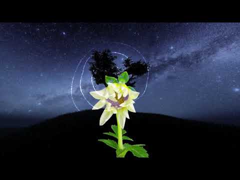 Secret Dalmatia intro