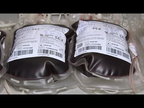 Saiba a importância de doar sangue durante a pandemia