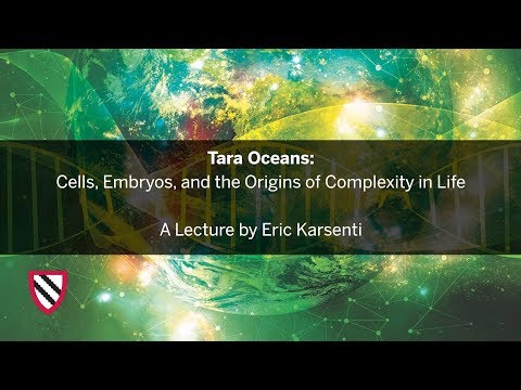 Tara Oceans: Cells, Embryos, and the Origins of Complexity in Life || Radcliffe Institute