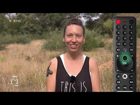 Aufnehmen (🔴) mit dem waipu.tv 4K Stick