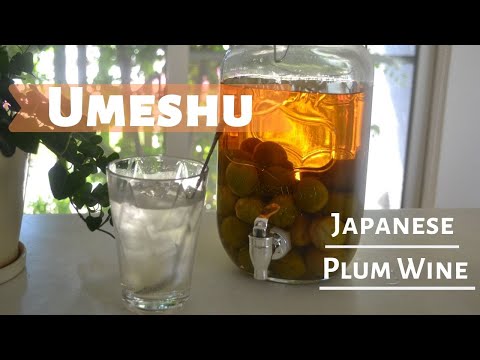 How to make ★Umeshu★Japanese Plum wine〜梅酒〜(EP106)
