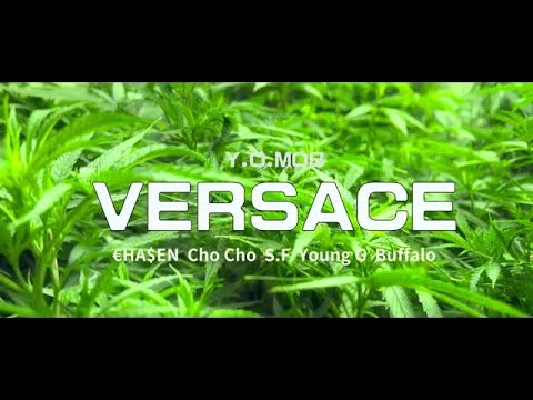 Y.O MOB - Versace Feat €HA$EN,Cho Cho,S.F,Young G,B-Lo