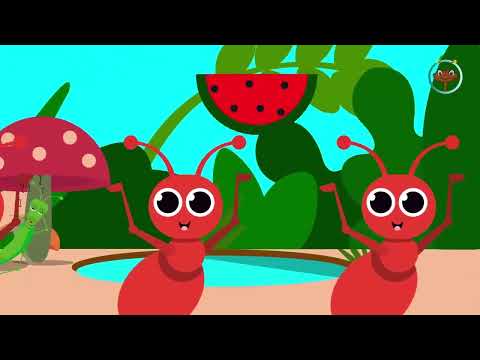 Moj Bubrrec   Këngë për fëmijë