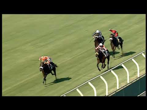 Galoppo 08/07/2020 - 1ª corsa