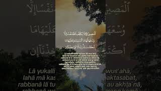 Download lagu #qsAlbaqarah#ayat284-286 #murajaah mp3 Download lagu #qsAlbaqarah#ayat284-286 #murajaah mp3
