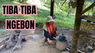 UPDATE KEBON…SETELAH DITINGGAL SELAMA DUA MINGGU‼️