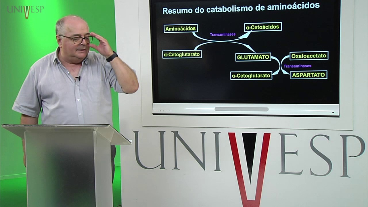 Bioquímica - Aula 16 - Catabolismo de Aminoácidos