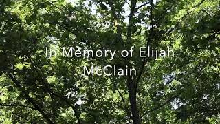In honor of Elijah McClain