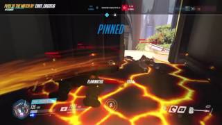 Bull in a China Shop