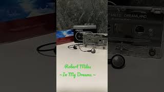 Robert Miles ~In My Dreams