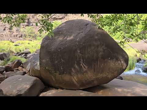 Rio Buritizinho região Alvorada do Norte Goiás #natureza os pássaros e o macaco-prego solitário!!!