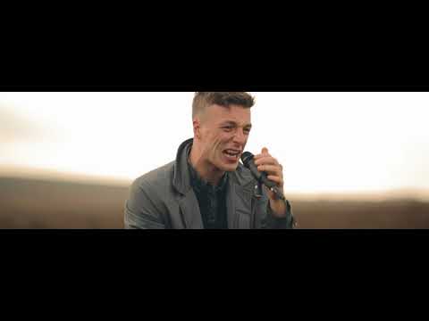 Take The Seven - Animals