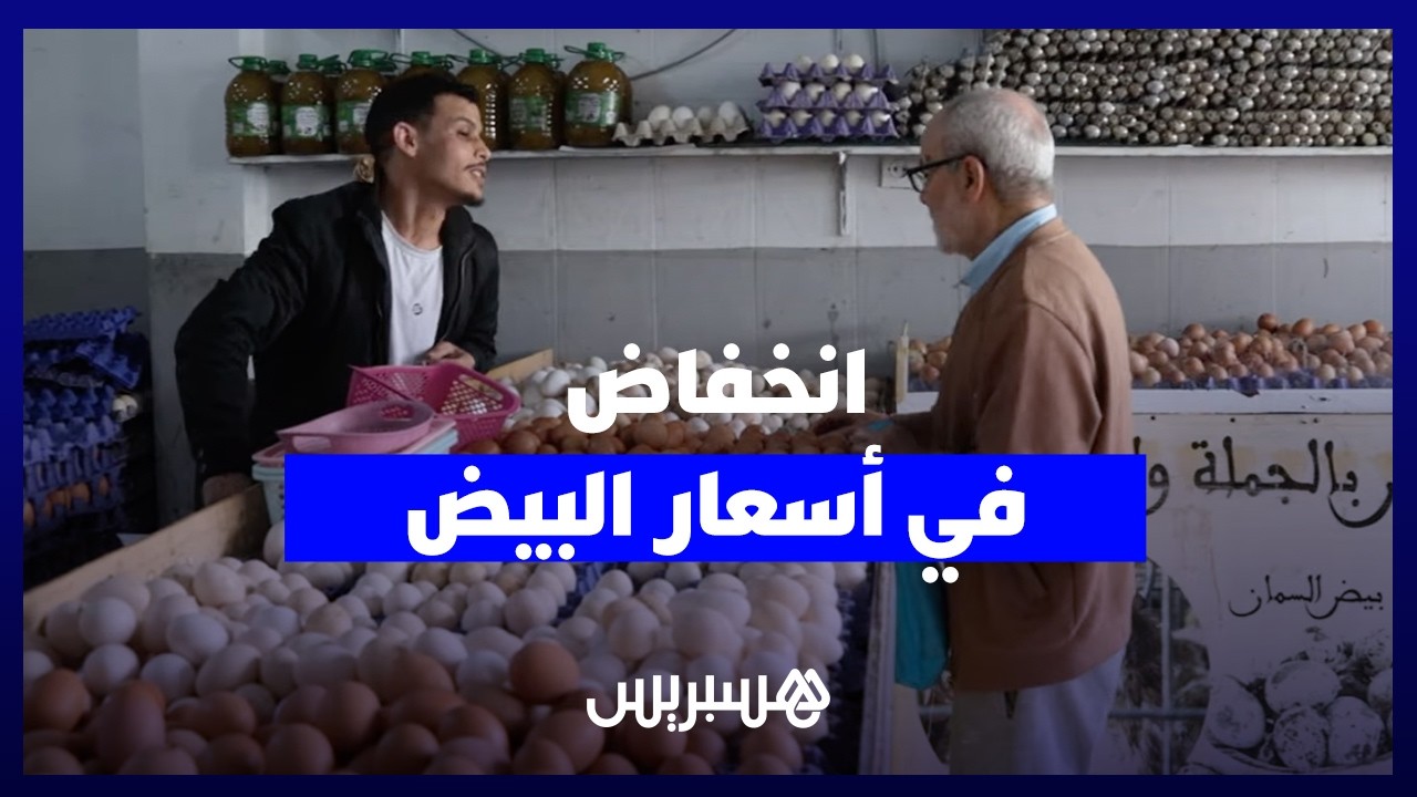 انخفاض في أسعار البيض.. زبناء يعبرون عن ارتياحهم وتجار يستشعرون الإقبال thumbnail