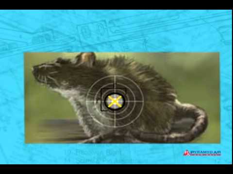 Airgun Academy Episode 21: How to Choose an Air Gun