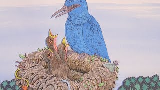 The Head and the Heart - Summertime [OFFICIAL VIDEO]