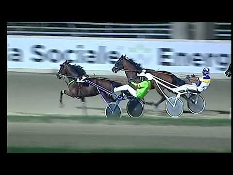 Napoli Trotto 24/08/2022 - 6ª corsa