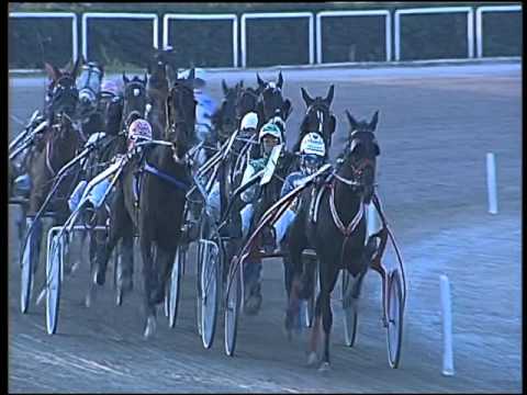 Trotto 24/12/2015 - 3° corsa