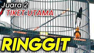 Download lagu Murai Batu Top Indonesia ‼️ Hampir Geser Lambada Reborn di Tiket Mobil mp3 Download lagu Murai Batu Top Indonesia ‼️ Hampir Geser Lambada Reborn di Tiket Mobil mp3