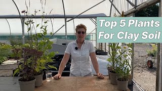 Best Plants For Clay Soils (Top 5)