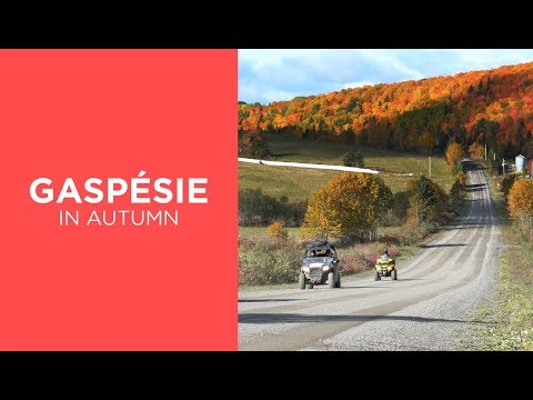 Enjoy quad biking in Gaspésie