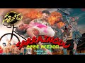 Sarrainodu 4K ULTRA HD Full Hindi Dubbed Movie Allu Arjun Rakul Preet Si