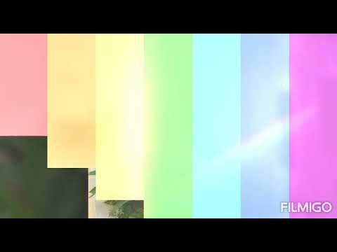 Mana Tropicale Flower Plants😊