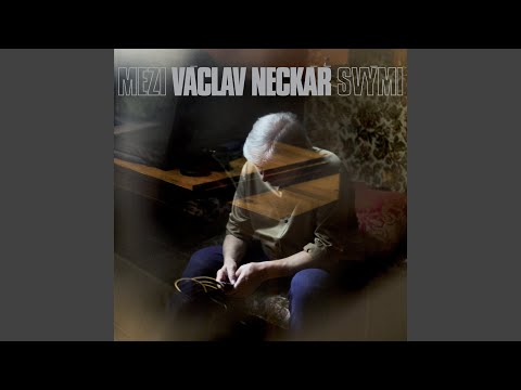 Mezi svými