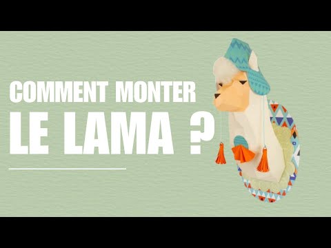 Lama - vidéo de présentation