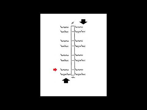 LECTIE DE PARALAGHIE CROMATICA