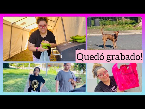 Los perros que lo mataron NOS HACEN FRENTE!