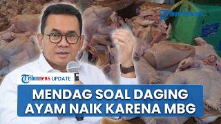 Harga Daging Ayam Naik Jelang Ramadhan, Mendag Budi Bantah Dipicu MBG, Soroti Pasokan Permintaan