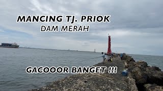 Download lagu Oh my gosh, it's so cool!!! The latest Tanjung Priok fishing || The latest Tanjung Priok red dam ... mp3