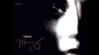 This Mortal Coil - Tears