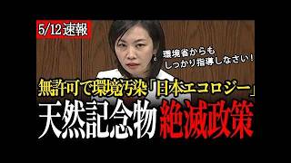 【絶滅危惧】天然記念物を「絶滅」に追い込む「再エネ政策」行政指導も効果なし…【参議院/参政党/梅村みずほ】
