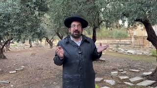 ברכות וגשם • פרשת תולדות  | הרב אליהו ובר מהר הבית (ישיבת הר הבית) - התמונה מוצגת ישירות מתוך אתר האינטרנט יוטיוב. זכויות היוצרים בתמונה שייכות ליוצרה. קישור קרדיט למקור התוכן נמצא בתוך דף הסרטון