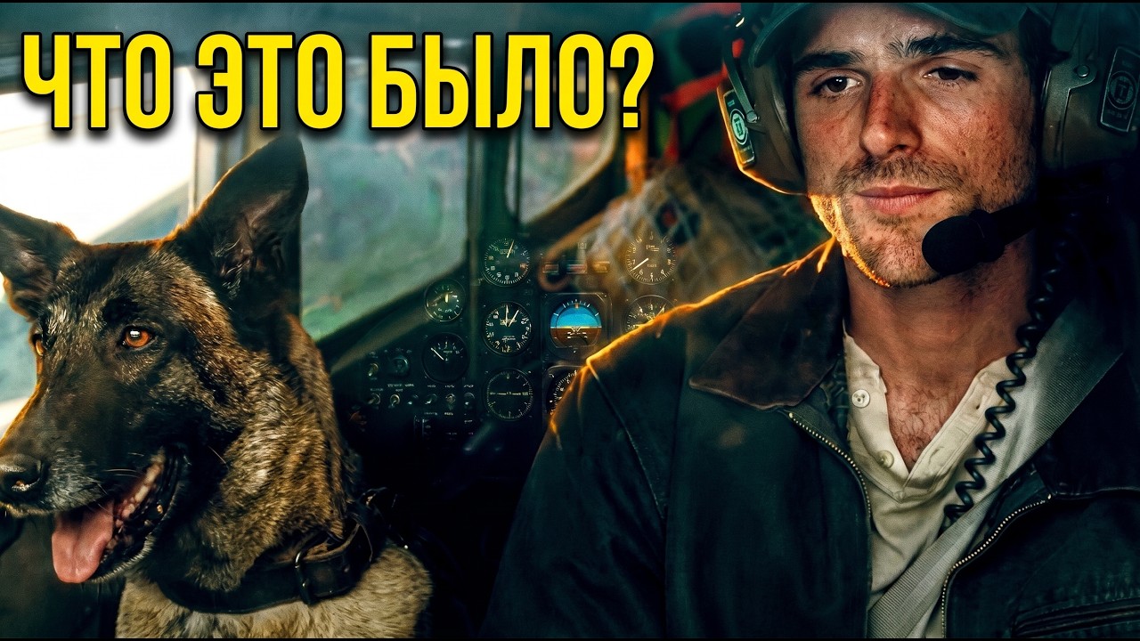 Собачьи звёзды. О чем на самом деле этот фильм, сцена в аэропорту.