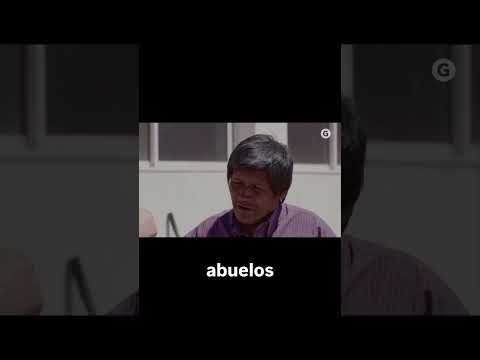 Quinoa en 📍Cusi Cusi #Jujuy #ruta40