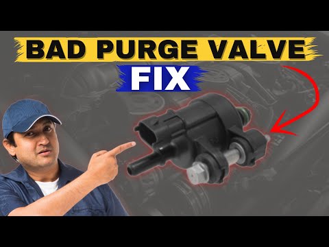 SYMPTOMS OF A BAD PURGE VALVE | Signs Purge Valve is BAD