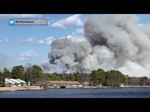 Forest Fire Investigation