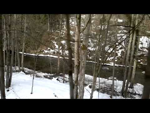 749.107 Bardotka R1143