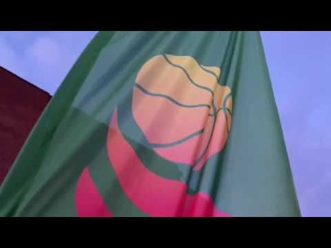 Telge Basket vs. A3 Umea  February 19th, 2020