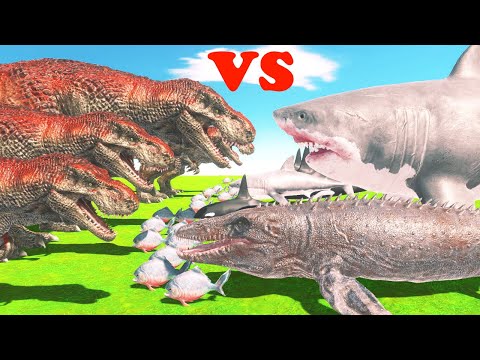 5 Level of Dinosaur All Aquatics Animal-cartoon|animal battle | Arbs game