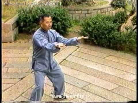 Wuzu Quan - 5 Ancestors Boxing - [ 五祖拳 ]