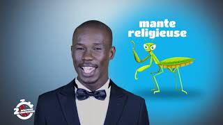 2mn pour comprendre LA MANTE RELIGIEUSE du 16 Mai 2019 par Polus Agathon