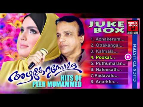 Mappila Pattukal Old Is Gold | Azhakerunnole | Peer Muhammed Malayalam Mappila Audio Jukebox