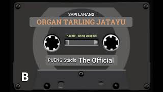 Download lagu ORGAN TARLING JATAYU SAPI LANANG... mp3