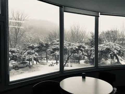 페퍼톤스 - Heavy Sun Heavy Moon, Colorful 1시간 재생/Peppertones - Heavy Sun Heavy Moon, Colorful 1Hour Play